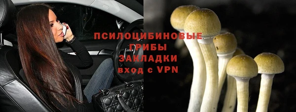 тгк Алексин