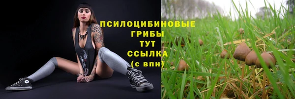 наркотики Алексеевка