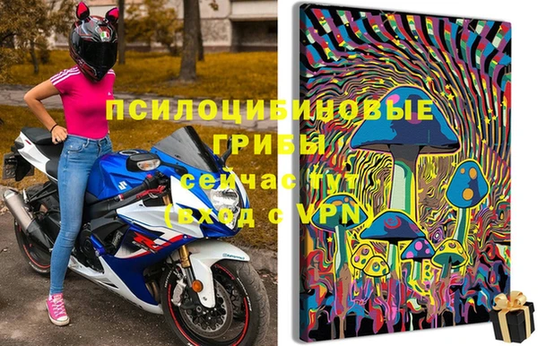 тгк Алексин