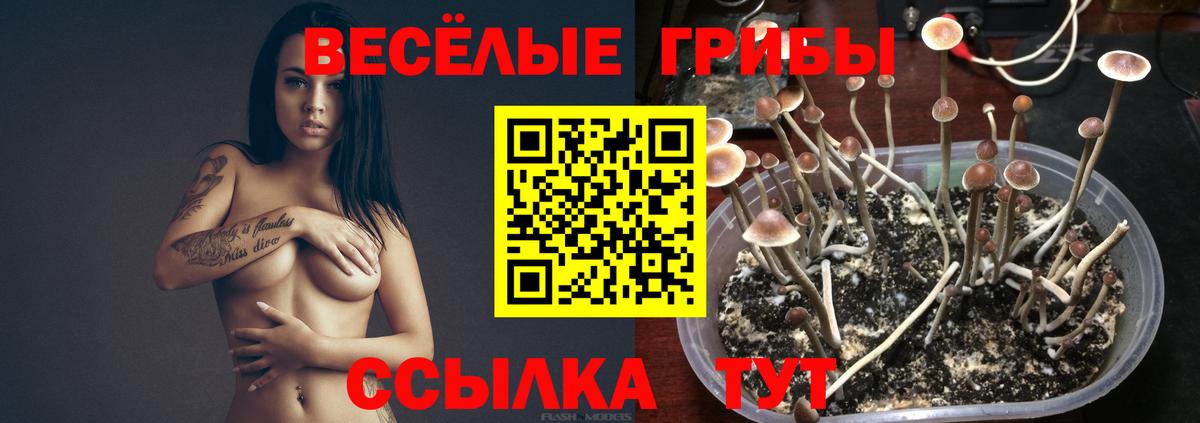 Псилоцибиновые грибы Magic Shrooms  Вход с VPN  Миллерово 